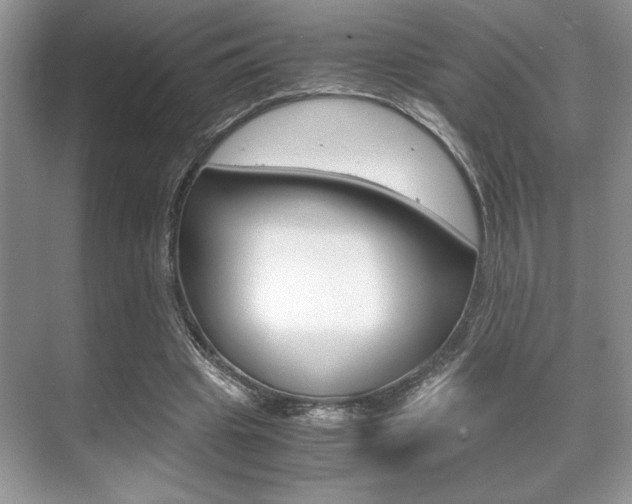 X0000071900441200607070923