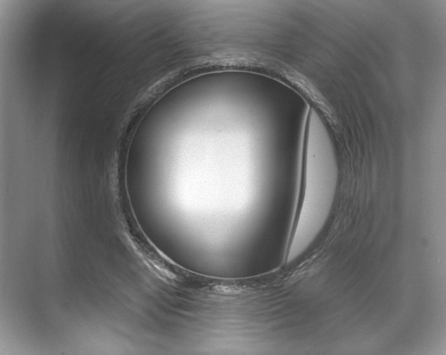 X0000071900442200607070923