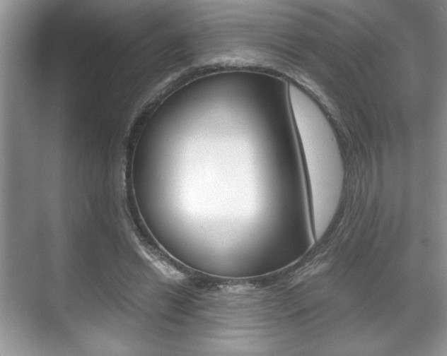 X0000071900446200607070923