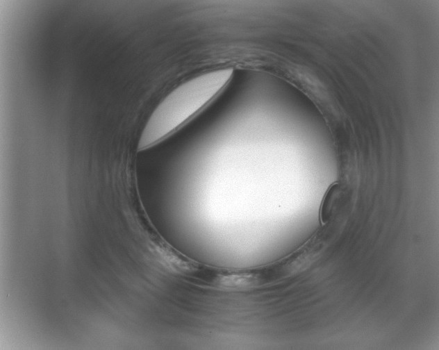 X0000071900461200607070924