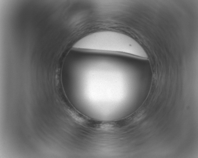 X0000071900462200607070924