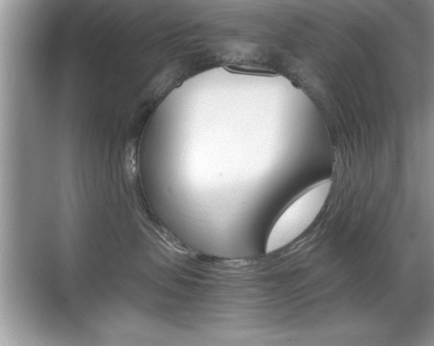 X0000071900479200607070924