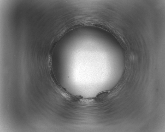 X0000071900480200607070924