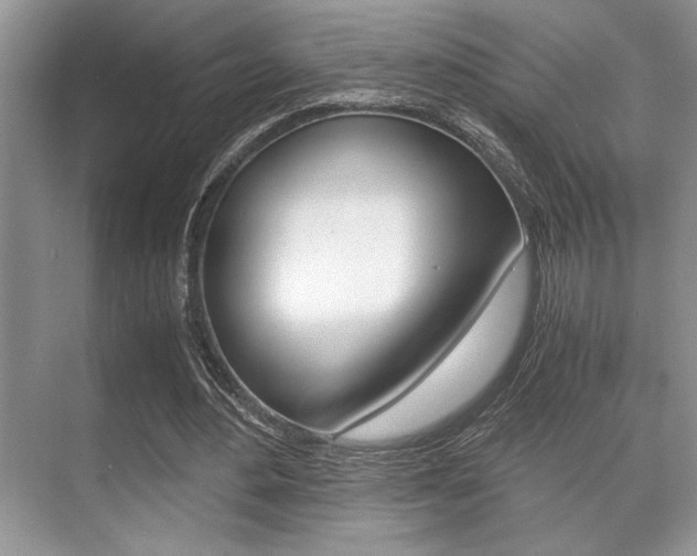 X0000071900484200607070923