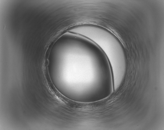 X0000071900485200607070923
