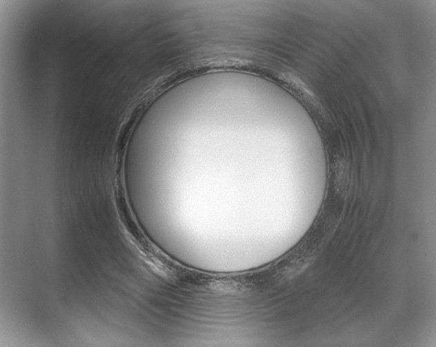 X0000071900490200607070923