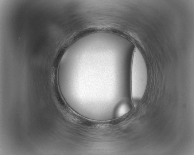 X0000071900495200607070923