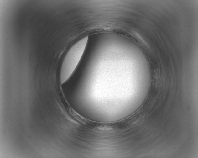 X0000071900500200607070923