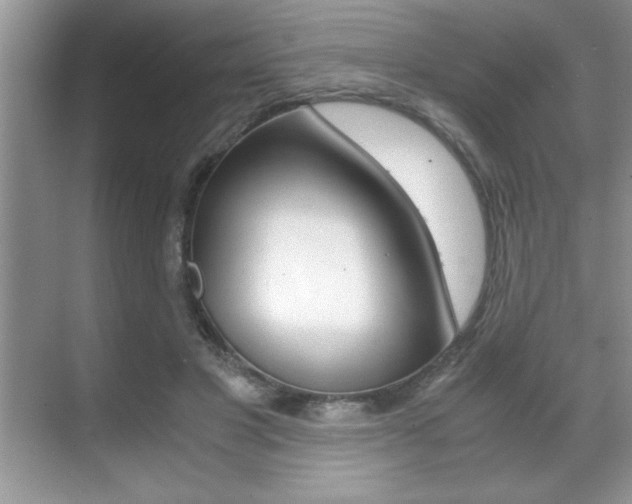X0000071900501200607070923