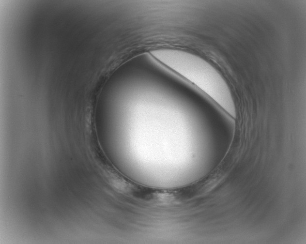 X0000071900509200607070923