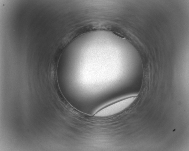 X0000071900513200607070923
