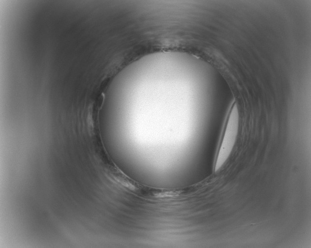 X0000071900516200607070923