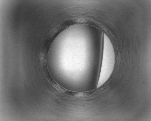 X0000071900521200607070922