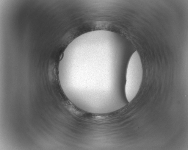 X0000071900522200607070922