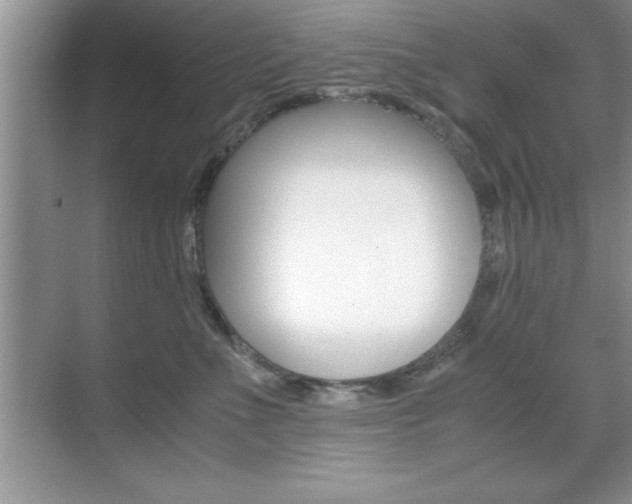 X0000071900523200607070922