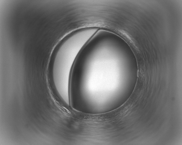 X0000071900532200607070922