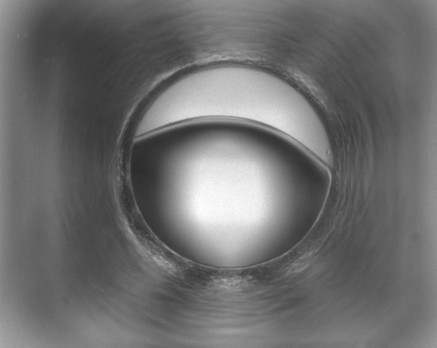 X0000071900540200607070922