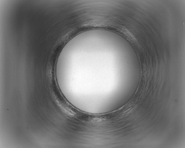 X0000071900542200607070922