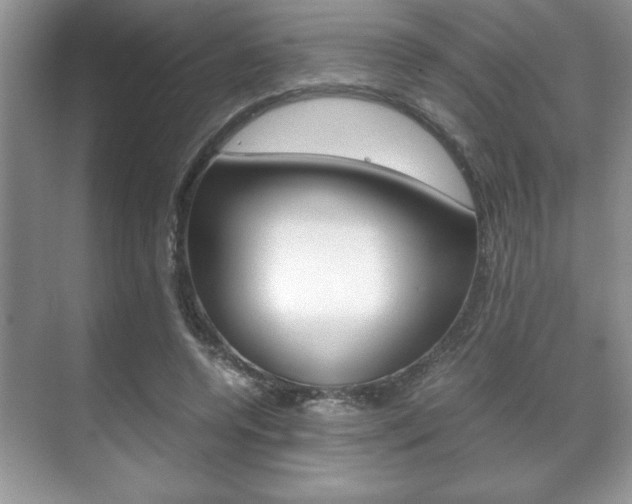 X0000071900544200607070922