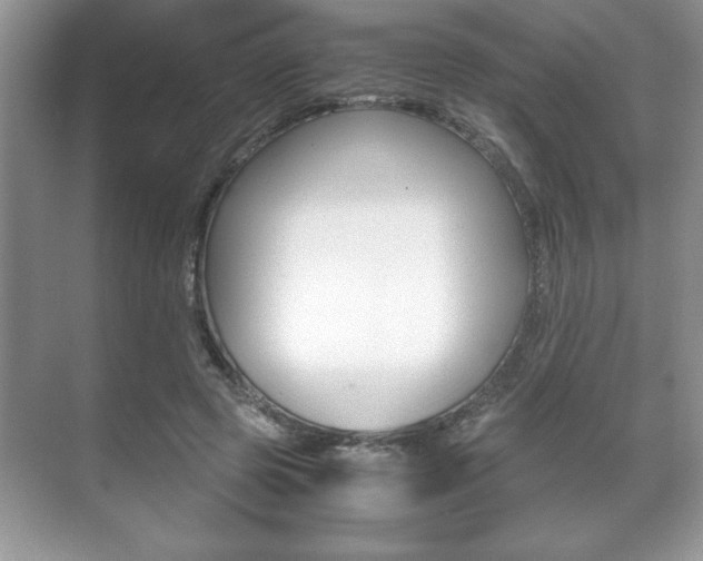 X0000071900545200607070922