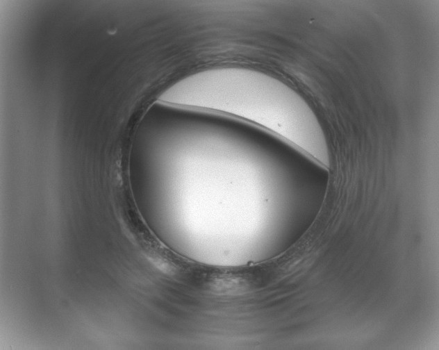 X0000071900547200607070922