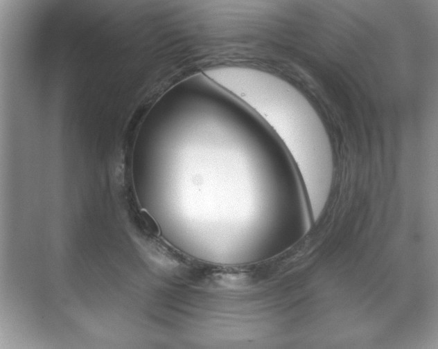 X0000071900552200607070922