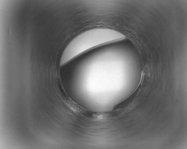 X0000071900564200607070922