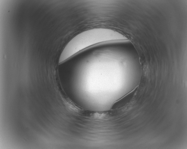 X0000071900570200607070922