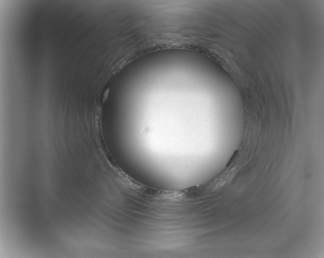 X0000071900576200607070922