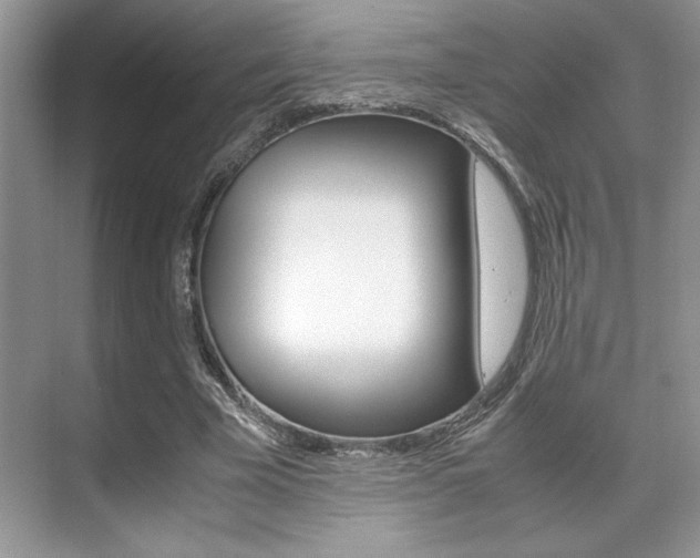 X0000071900585200607070921