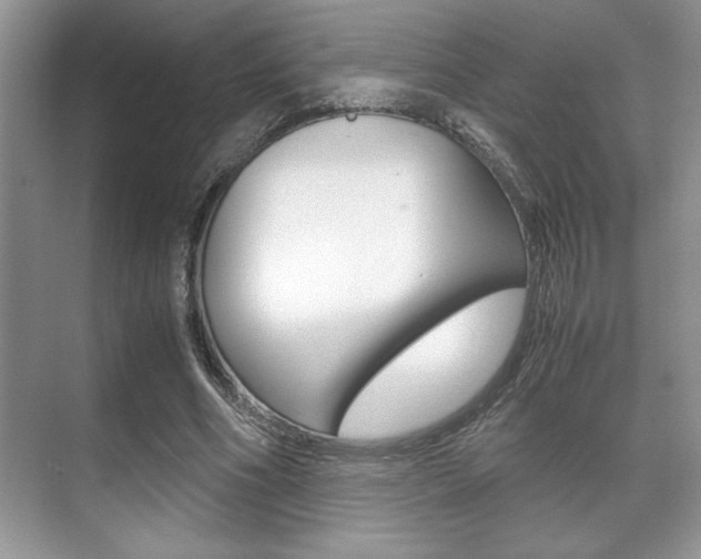X0000071900586200607070921