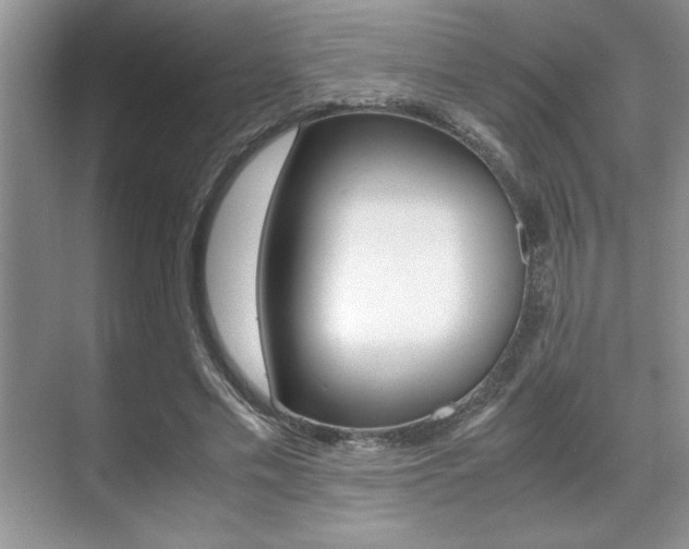 X0000071900589200607070921