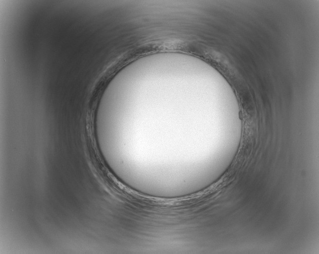X0000071900591200607070921