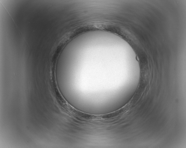 X0000071900595200607070921