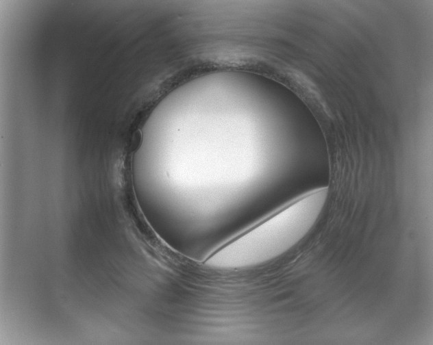 X0000071900596200607070921
