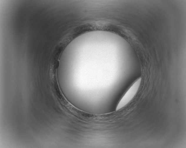 X0000071900599200607070921