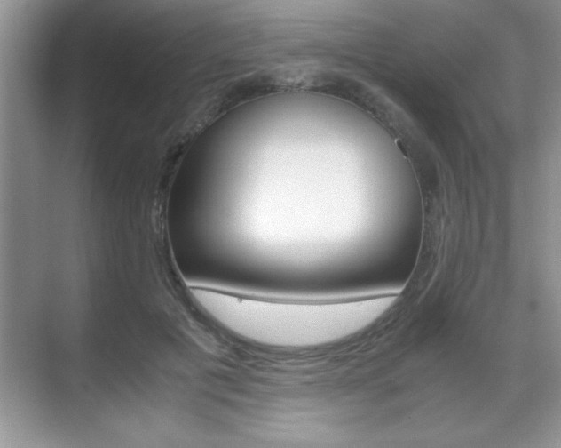 X0000071900601200607070921