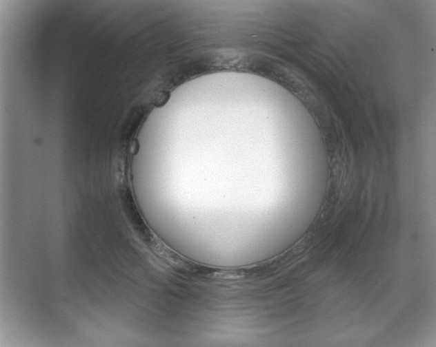X0000071900602200607070921