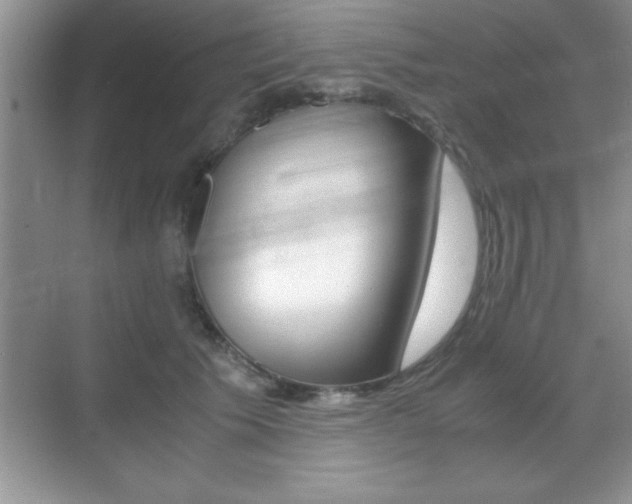 X0000071900609200607070921