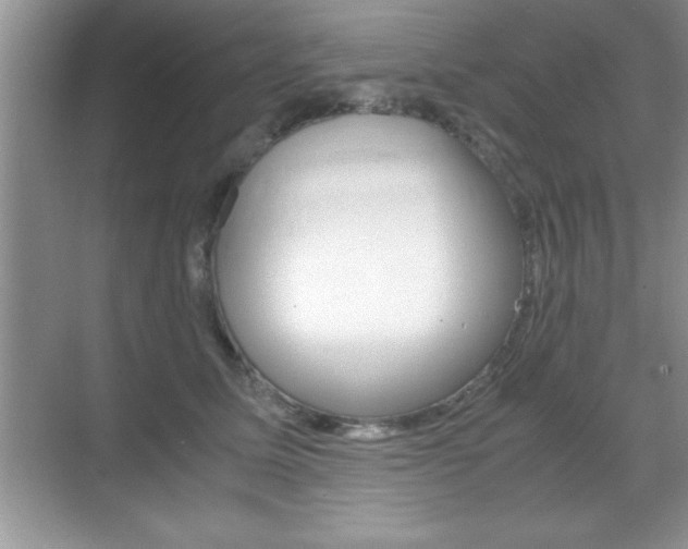 X0000071900611200607070921