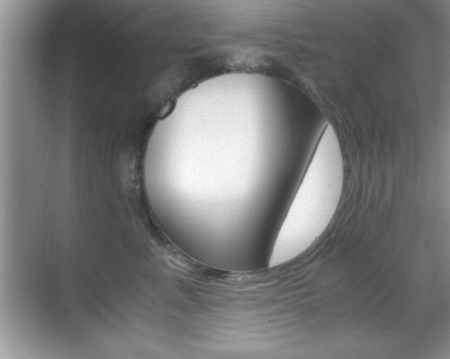X0000071900619200607070921