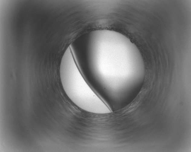 X0000071900624200607070921