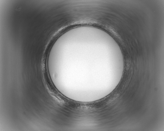 X0000071900632200607070920