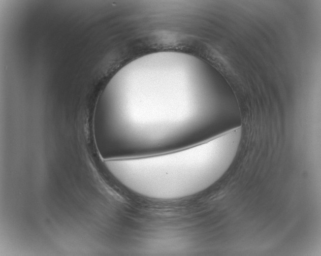 X0000071900642200607070920
