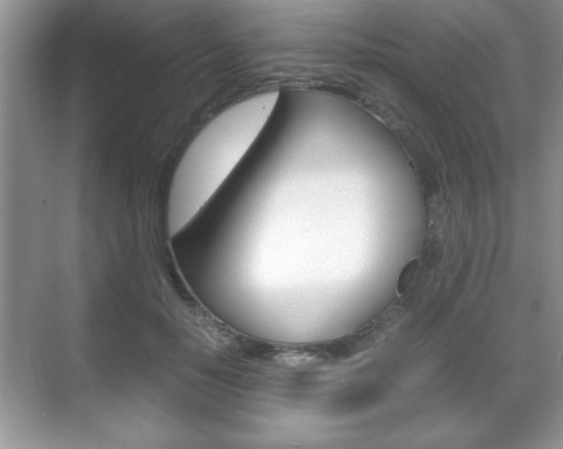 X0000071900650200607070920