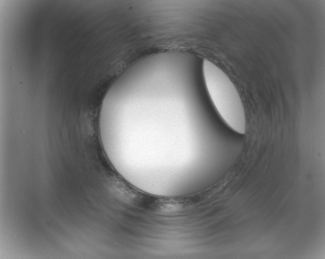 X0000071900658200607070920