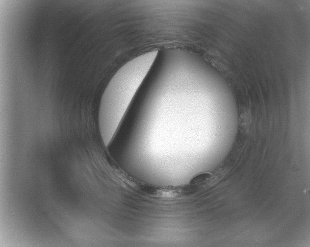 X0000071900662200607070921