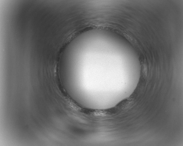 X0000071900668200607070921
