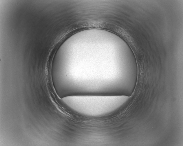 X0000071900674200607070920