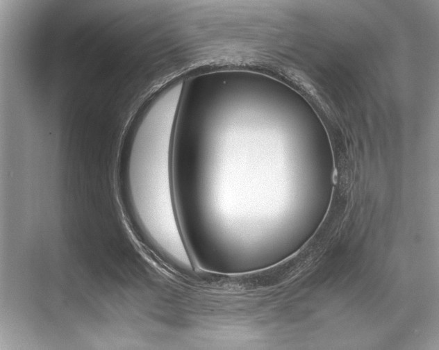X0000071900677200607070920